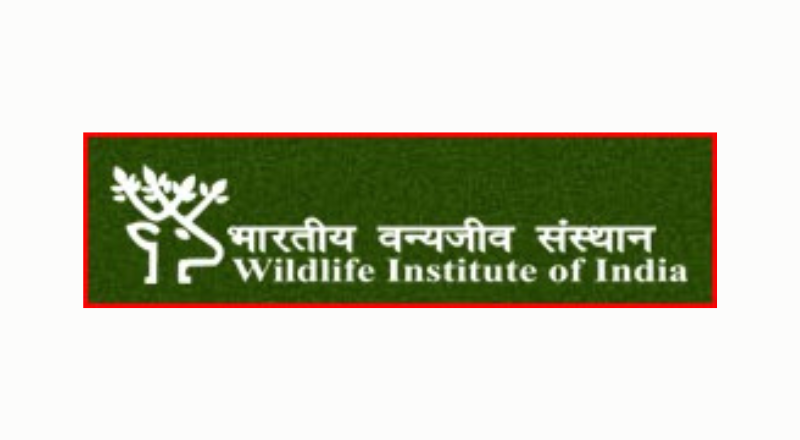 WII Recruitment 2024 | Apply For Technical Assistant, Lab Attendant, Driver and Various Posts | Apply Jobs Now