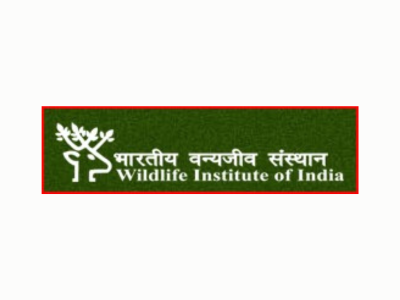 WII Recruitment 2024 | Apply For Technical Assistant, Lab Attendant, Driver and Various Posts | Apply Jobs Now